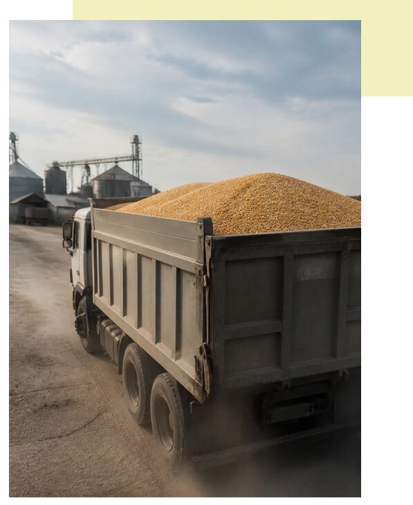 Перевозка сельхозпродукции навалом в Владимира по цене от 3113 р. | Агросервис-Вдм